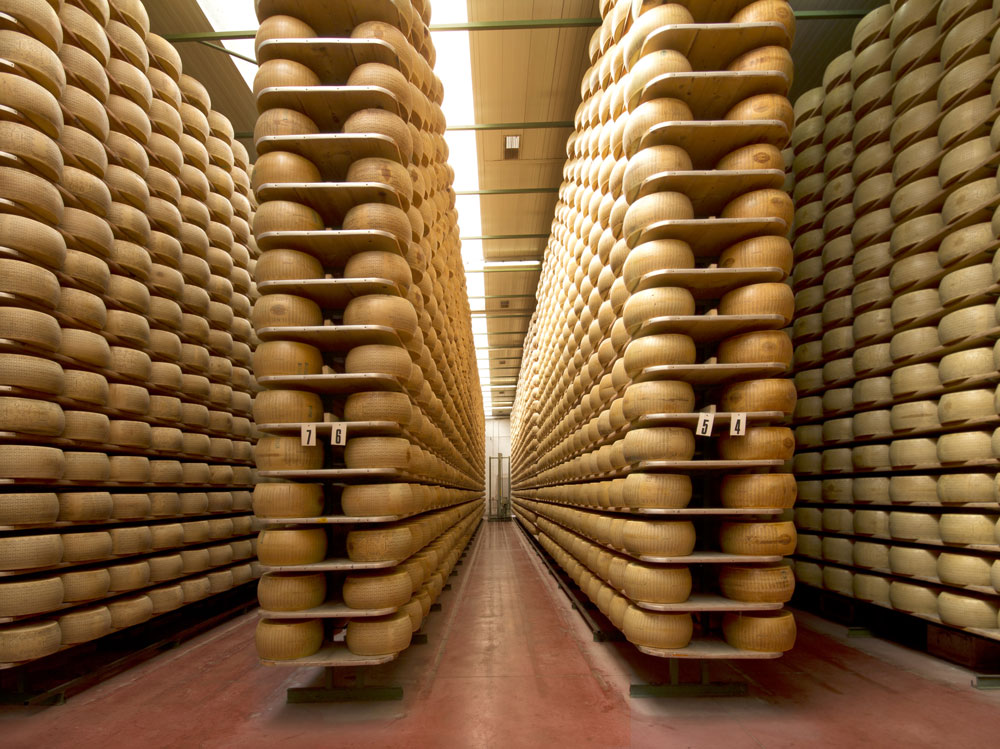 Stagionatura formaggio su alti scaffali
